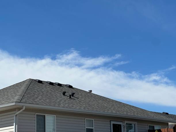 Best Storm Damage Roof Repair  in Menonee, MI